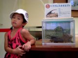 夏休み日記　（１）