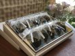画像2: 黒豆ゼリー10個入